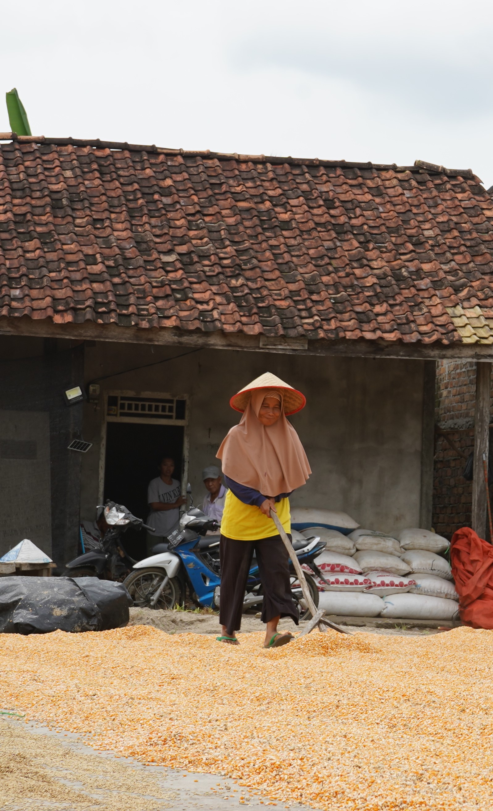Tingkat Pendidikan Masyarakat